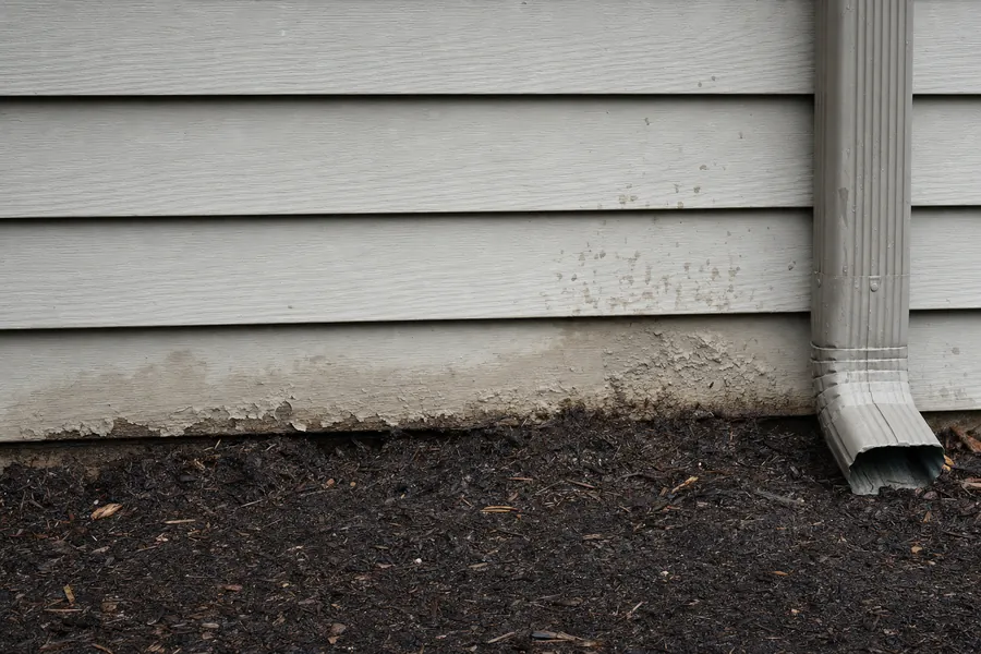 The bottom edge of painted fiber cement siding where garden soil and mulch have been piled up against it, with dark staining and paint blistering on the buried board while the boards above stay clean.