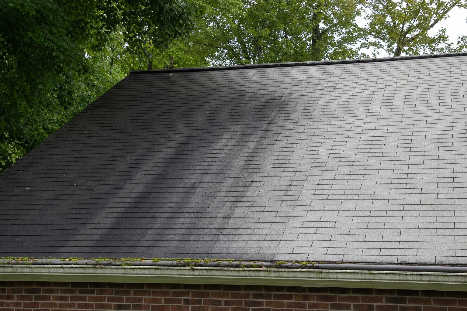 Dark vertical algae streaks running down the shaded portion of a grey asphalt shingle roof, with a cleaner lighter section where sunlight reaches and moss forming in the gutter
