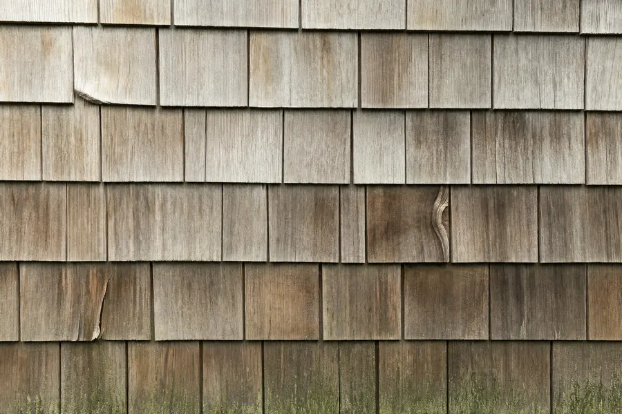 Cedar shingles in overlapping courses, silvered grey where exposed, with green algae along the lower shaded courses and a few split shingles.