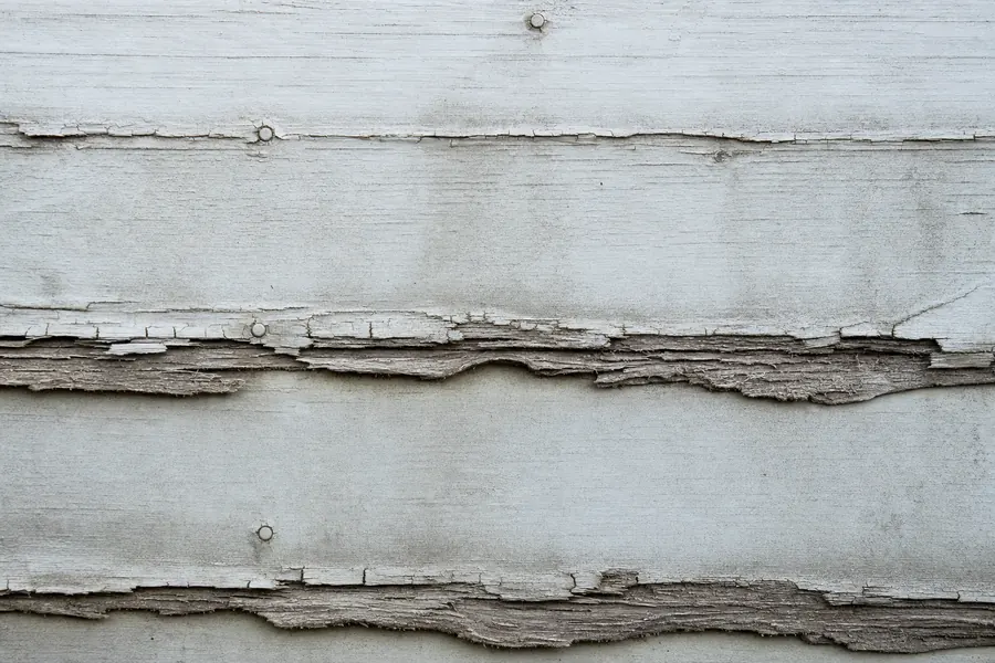 Failing hardboard lap siding with bottom edges swollen and delaminating like a soaked wafer, soft exposed fibres, swelling around nail heads and cracking along the board edges.